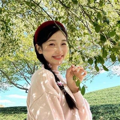 双面骗子虚假警察第一季
